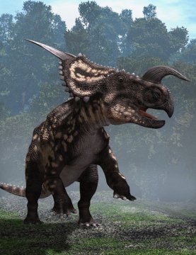 Einiosaurus-4 cace