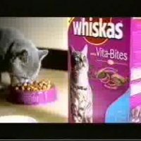 WhiskasBungeeJumping