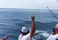 Опасная рыбалка