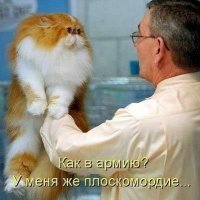 Котэ003