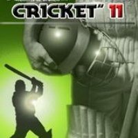 Cricket11 nok s40v3 240x320