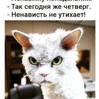 Ненавижу