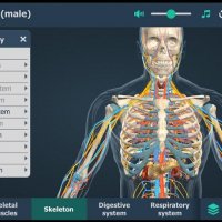 Human body (male) 1.24 Рекламы нет