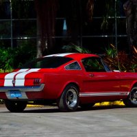 Ford Mustang Fastback GT 350 (1966)