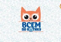 Всем по котику Выпуск 34