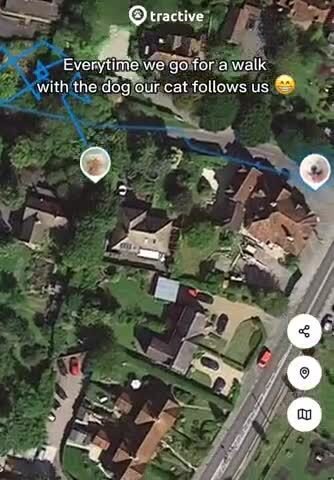 Хозяин решил повесить GPS-трекер на своего кота, чтобы посмо