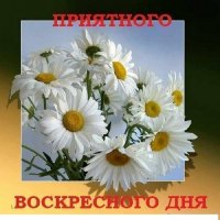 Приятного воскресного дня 5с