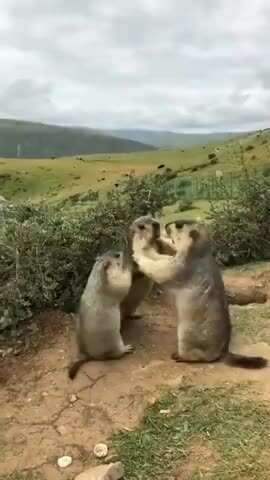 Я щас убью его нахрен!! Саня, пожалуйста, успокойся! И