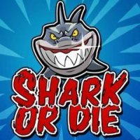 shark or die 240x400