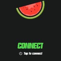 Melon VPN 7.8.716 arm64