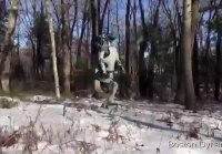 Boston Dynamics и их новое детище Atlas