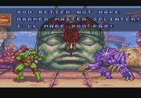 TMNT Tournament Fighters