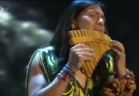 Leo Rojas- The lonely sheppard