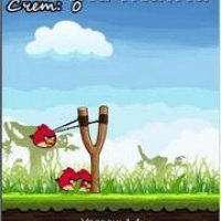 Angry birds s40-128x160