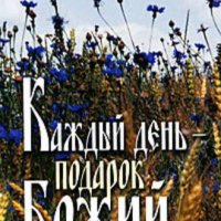 Каждый день - подарок Божий. Дневник православного священника