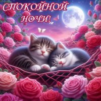 Спокойной ночи