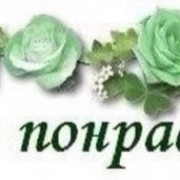 Очень понравилось!