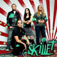 skillet (3)