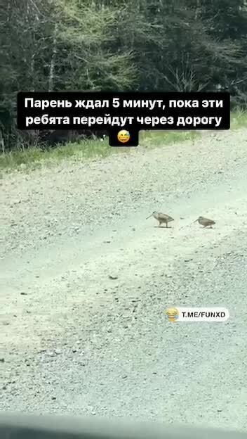 Энергично переходим дорогу