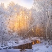 В царстве холода