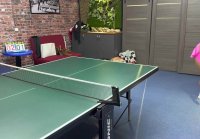 Viola vs Elis - Table Tennis