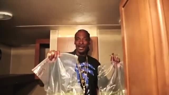 Снуп Догг с пакетами травы (Snoop Dogg sings with weed)