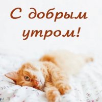 С добрым утром! (3)