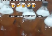 Пей пока живёшь