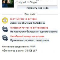 SkypeMobilePPC