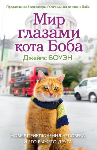 Мир глазами кота Боба