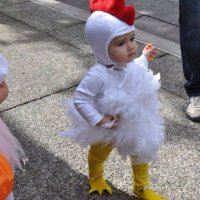 Fee35755d177dec0c135a28e36dfd5c9--chicken-costumes-cute-cost