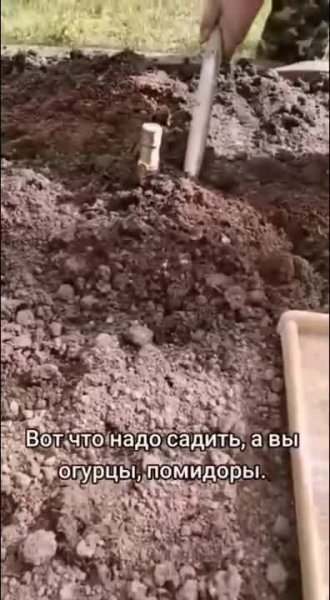 Вот_что_надо_садить,_а_вы_огурцы,_помидоры.mp4