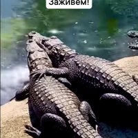 Мечты