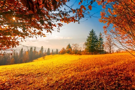 Depositphotos 62210353-stock-photo-colorful-autumn-landscape