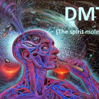 dmt-1-638