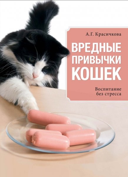 Воспитание кошек