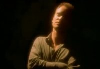 Sting - Fields of gold