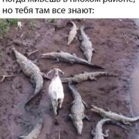 Плохой район