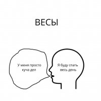 Весы