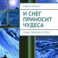 Андрей Сорокин - И снег приносит чудеса