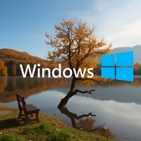 Windows,осень,скамейка,дерево.01