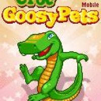 Goosy Pets Croc