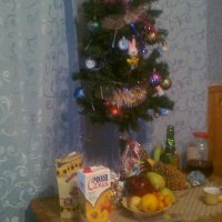 Новый год 2011