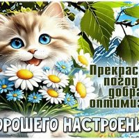 Открытка хорошего настроения