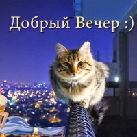 Добрый вечер !!!