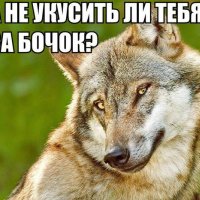 А не укусить тебя за бочок