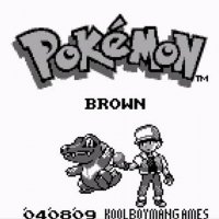 Pokemon brown NEW