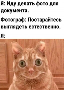 Знакомо?