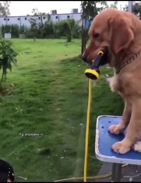 Если кончилась вода