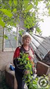 КУРГАН: Община помогает пострадавшей от стихии бабушке